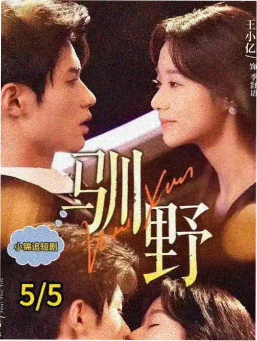 夜航西飞电视剧全集免费